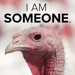 Meet your Posher, Steven anthony